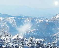 Kasauli Honeymoon Tour